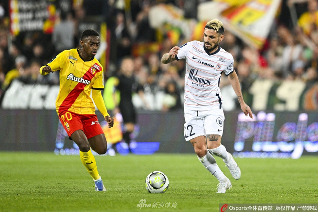 若只是浅飞 若只是浅飞