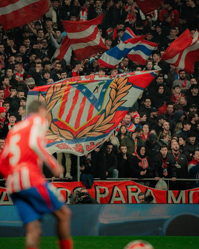 预案与赛中 预案与赛中