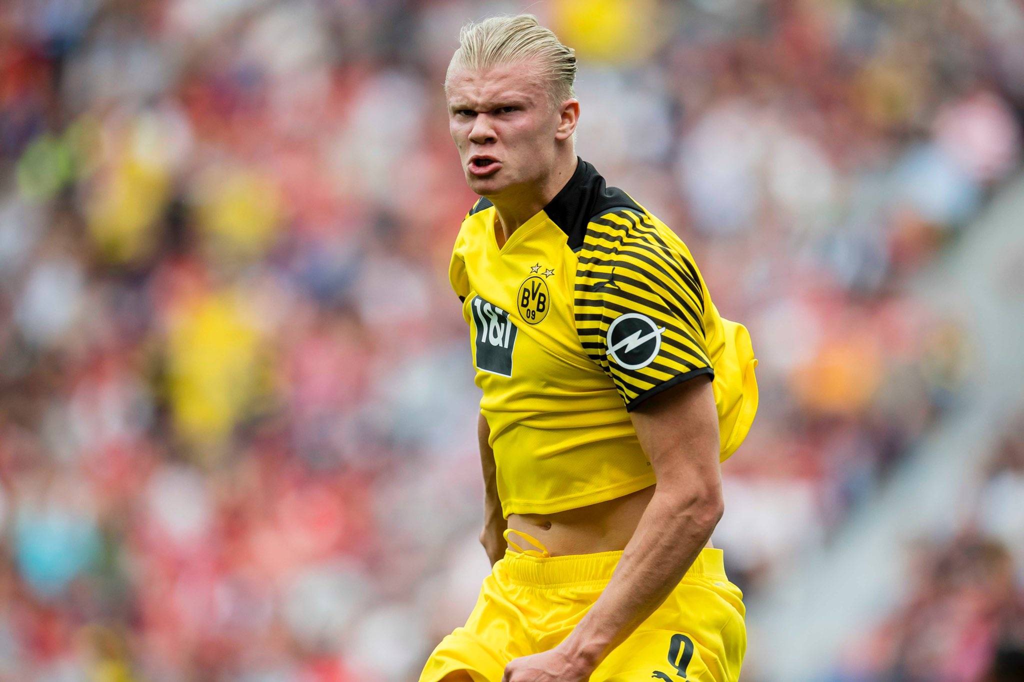 长线策略 长线策略